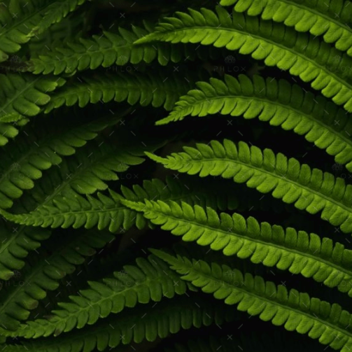 demo-attachment-560-daniel-mirlea-fxiAxNLpoqI-unsplash@2x
